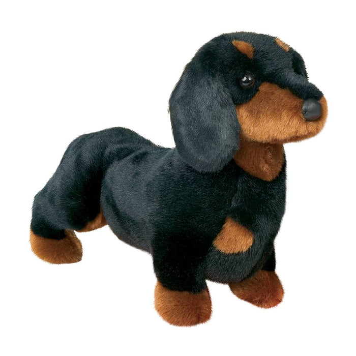 Douglas Spats Dachshund