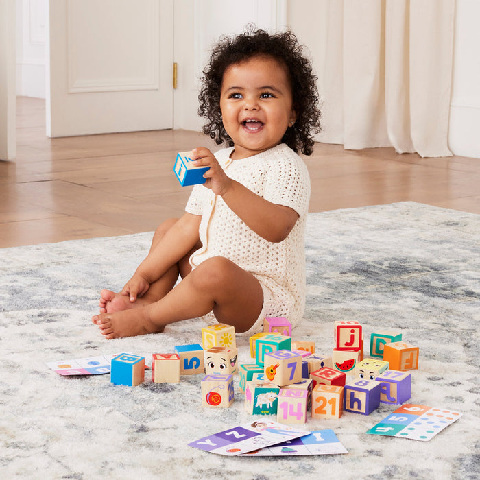 Ms. Rachel Wooden Learning Blocks & Activity Cards
