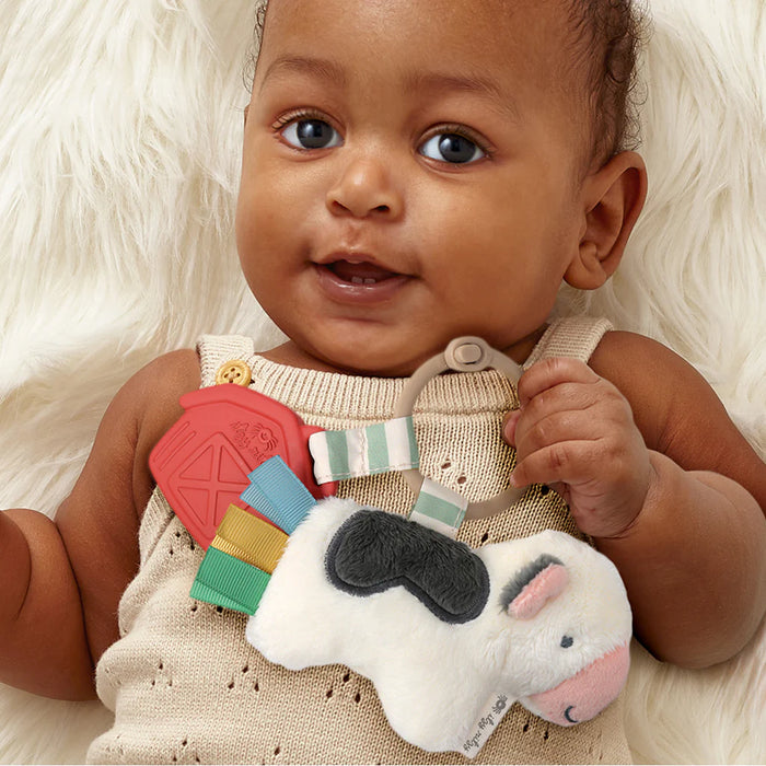 Itzy Ritzy Itzy Pal Infant Toy | Cow