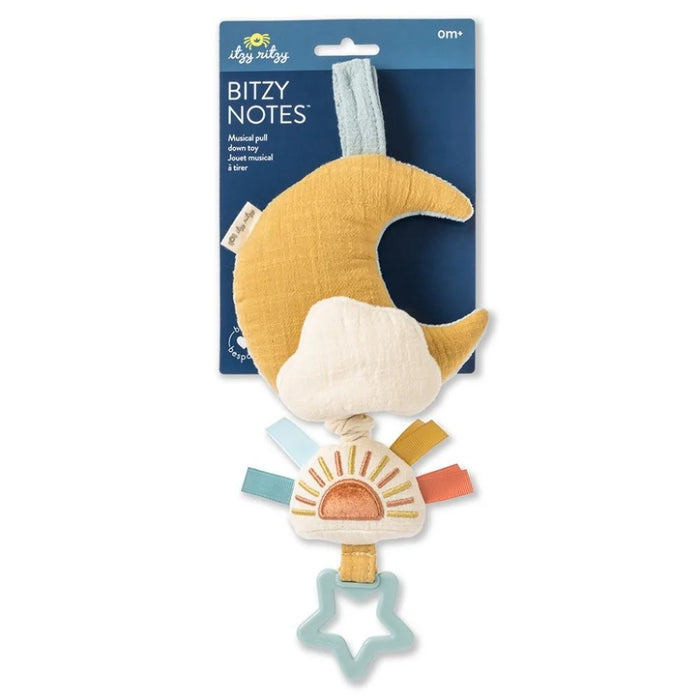 Itzy Ritzy Bitzy Notes Musical Pull-Down Toy