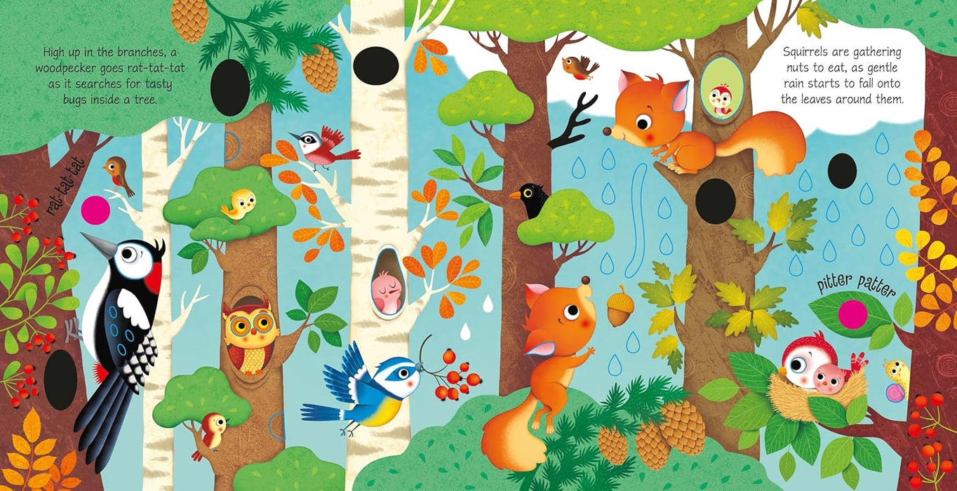 Harper Collins Woodland Sounds