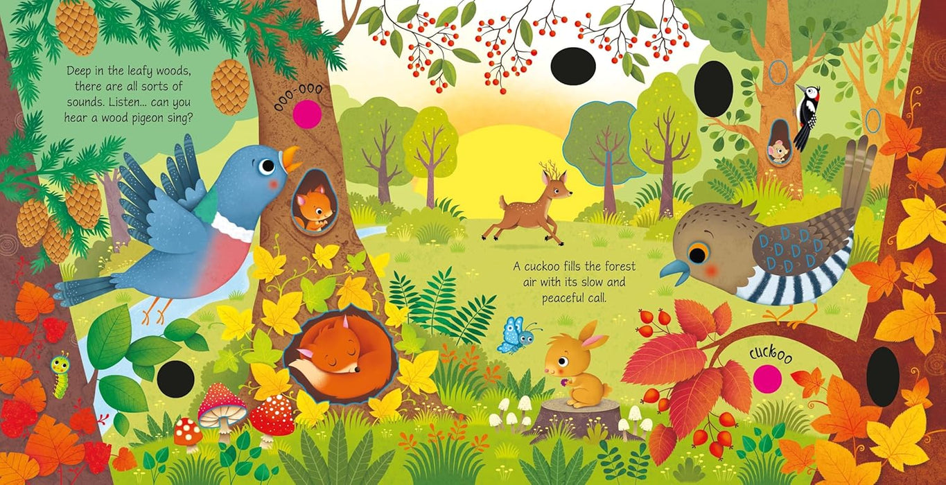 Harper Collins Woodland Sounds