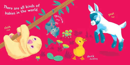 Indestructibles - Baby Animals - Cullen's Babyland & Playland