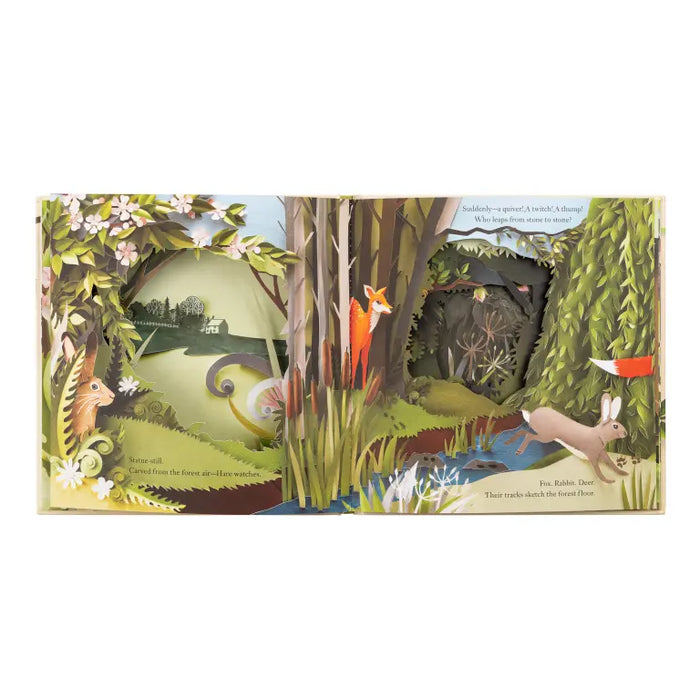 Workman Publishing A Walk Through the Woods