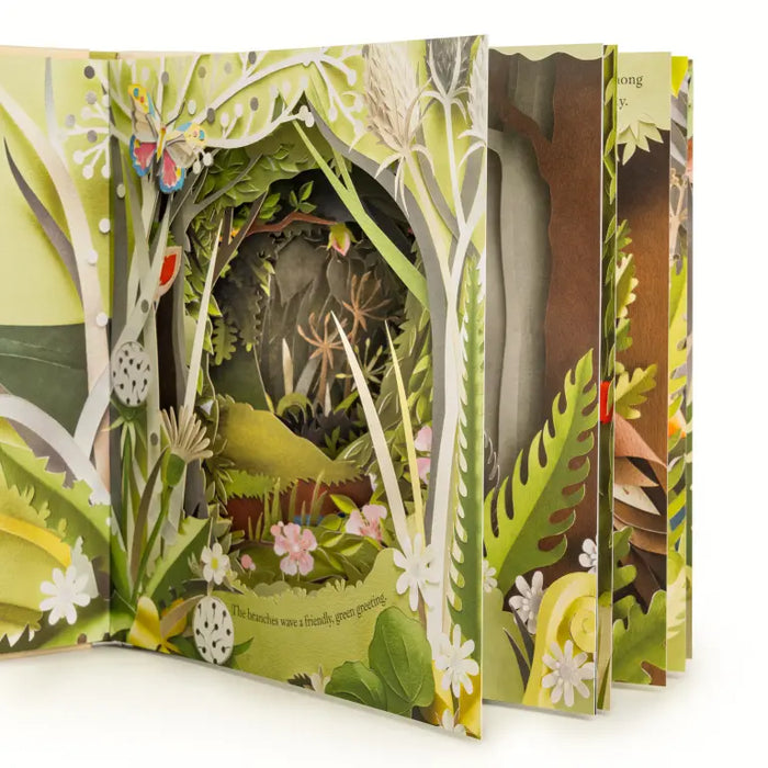 Workman Publishing A Walk Through the Woods