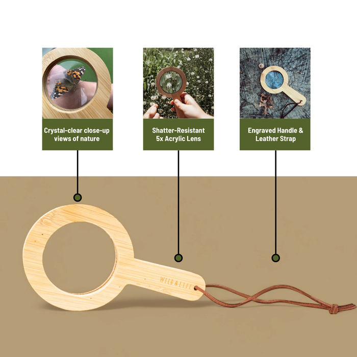Wild Life Adventures Eye Spy Magnifying Glass