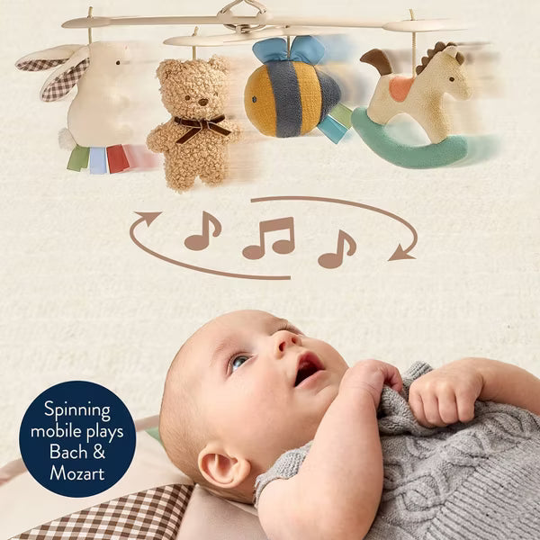 Itzy Ritzy Itzy Music & Motion Activity Gym