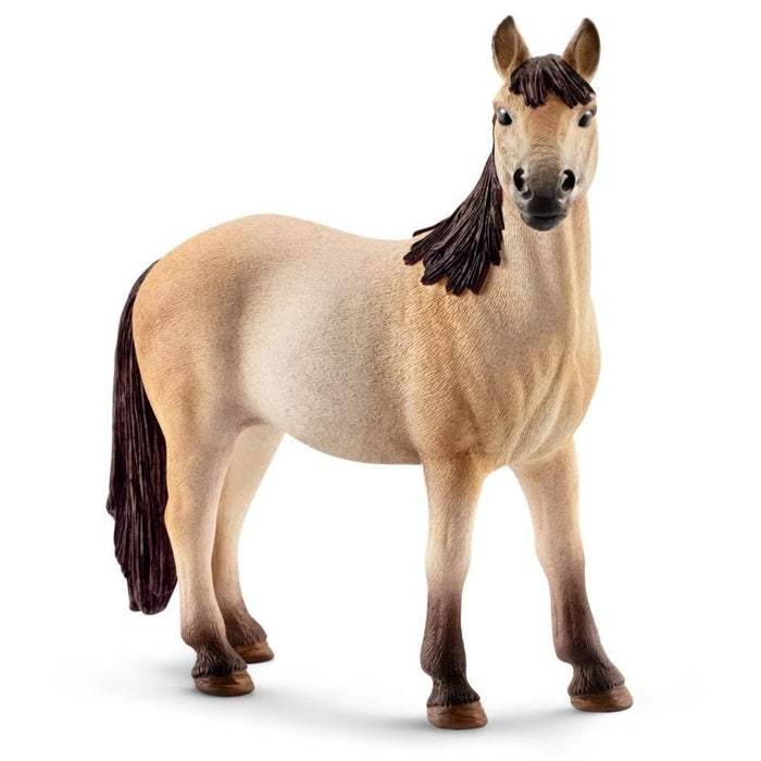 Mustang Mare