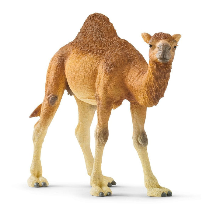Schleich Camel