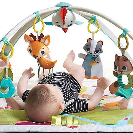 Tiny Love Into the Forest Gymini Deluxe