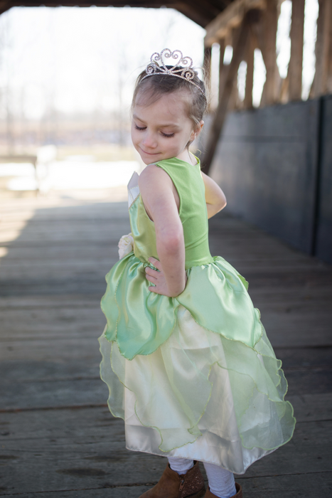 Creative Education Frog Princess Dress (Size 3-4)