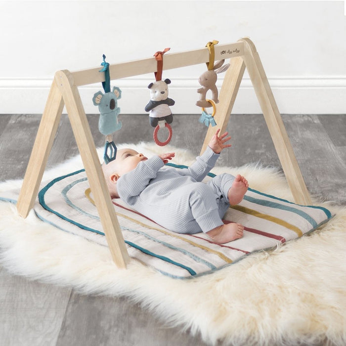 Itzy Ritzy Activity Gym | Rainbow