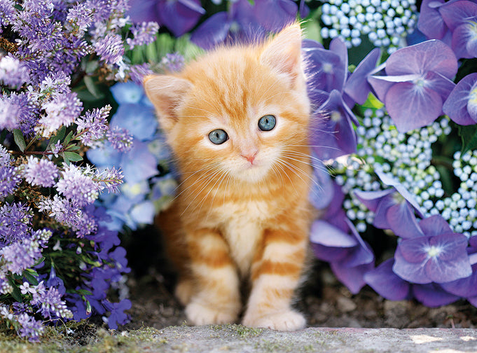 Creative Toy Co Ginger Cat in Flowers Puzzle