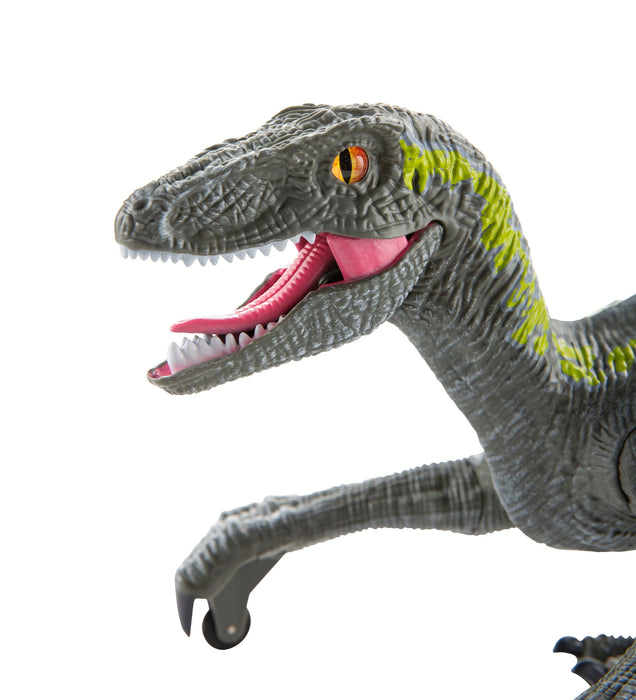 Hearthsong Jurassic Adventures RC Velociraptor