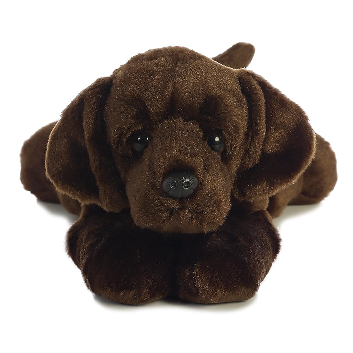 Aurora Flopsie Max Chocolate Lab