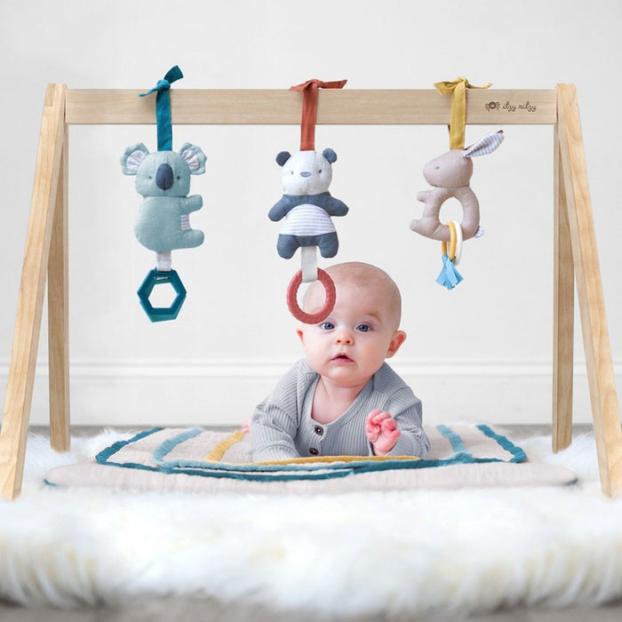 Itzy Ritzy Activity Gym | Rainbow