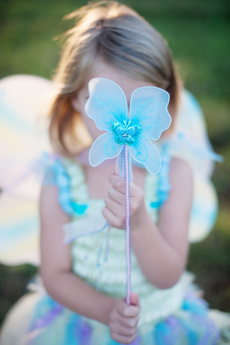 Creative Education Butterfly Dress/Wings/Wand | Green