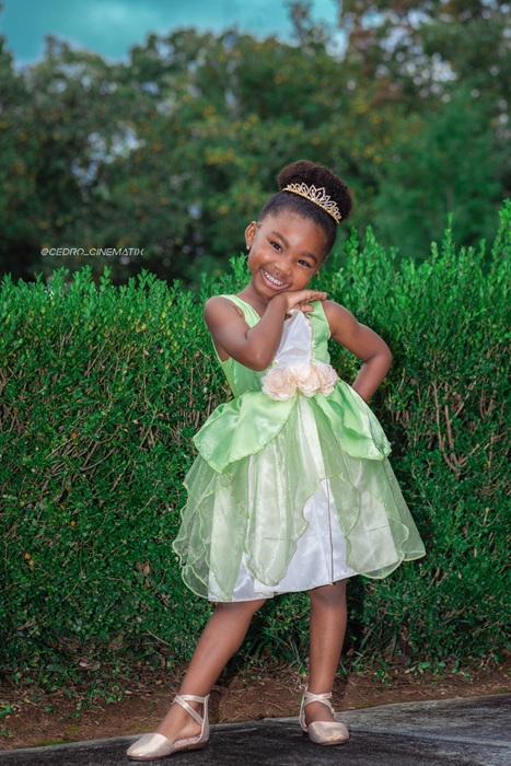 Creative Education Frog Princess Dress (Size 3-4)