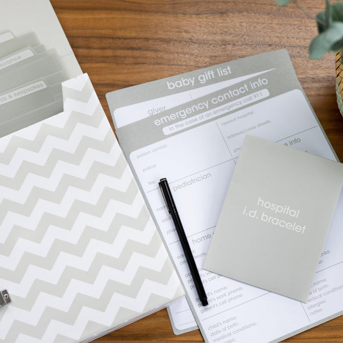 Pearhead Baby's Little Organizer Document Keeper