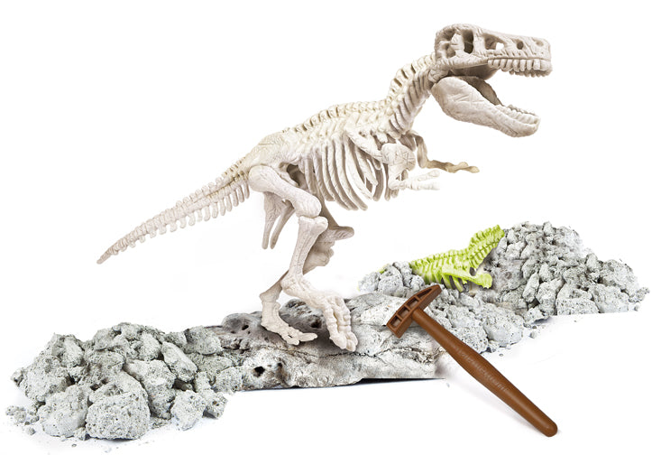 Creative Toy Co. Glow in the Dark Dig & Assemble T-Rex