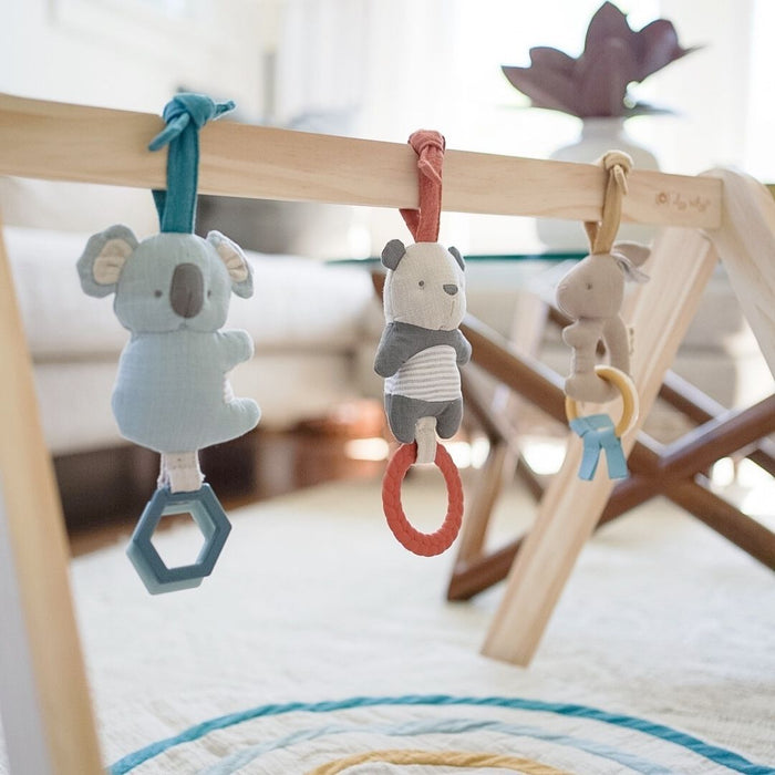 Itzy Ritzy Activity Gym | Rainbow