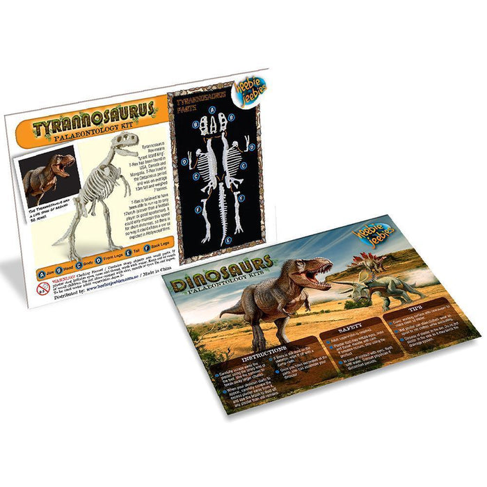Heebie Jeebies Palaeontology Kit | Tyrannosaurus