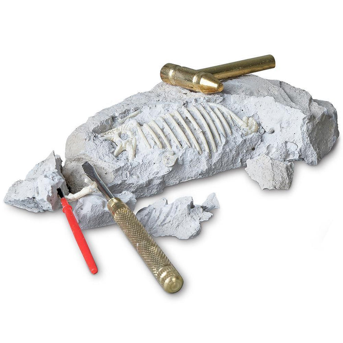 Heebie Jeebies Palaeontology Kit | Tyrannosaurus