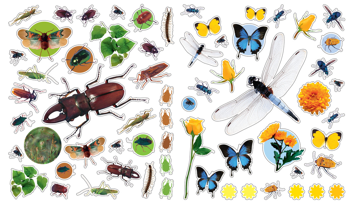 Eyelike Bugs Sticker Book