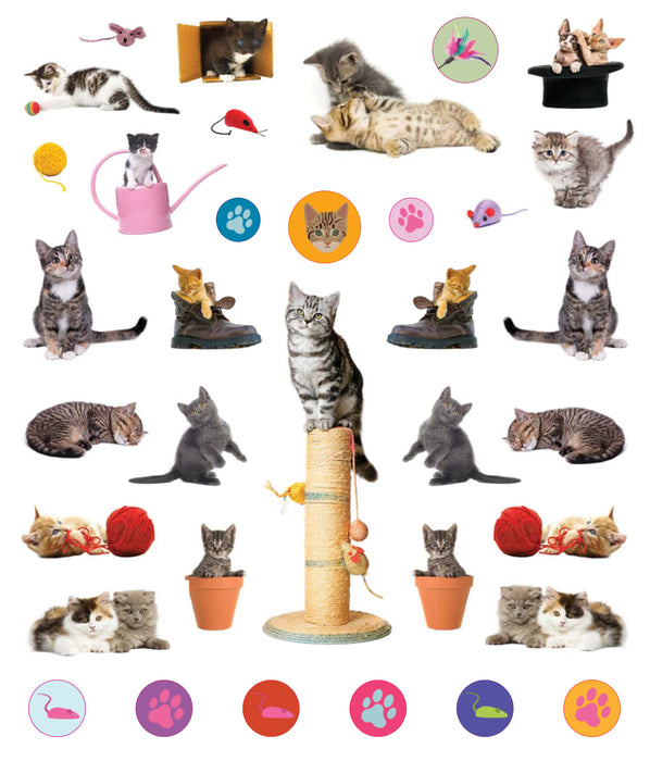 Eyelike Kittens Sticker Book