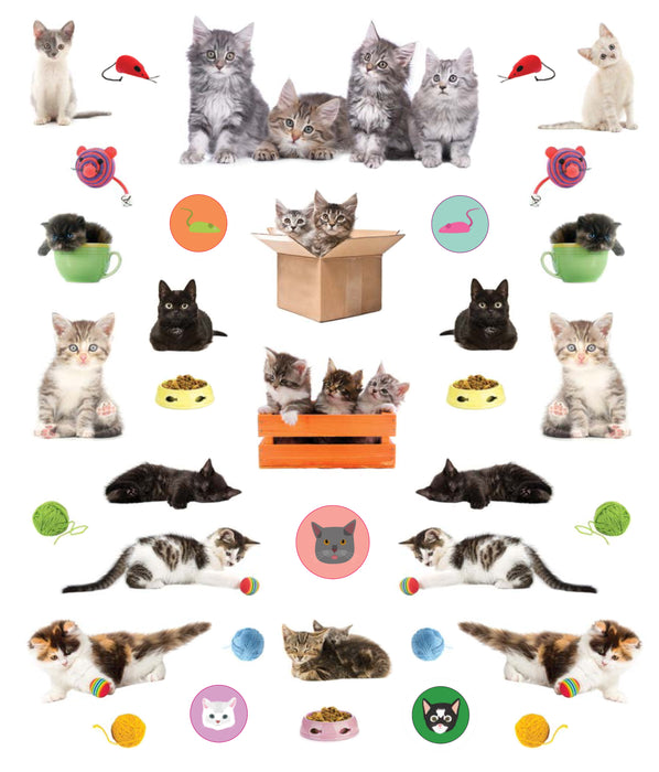 Eyelike Kittens Sticker Book