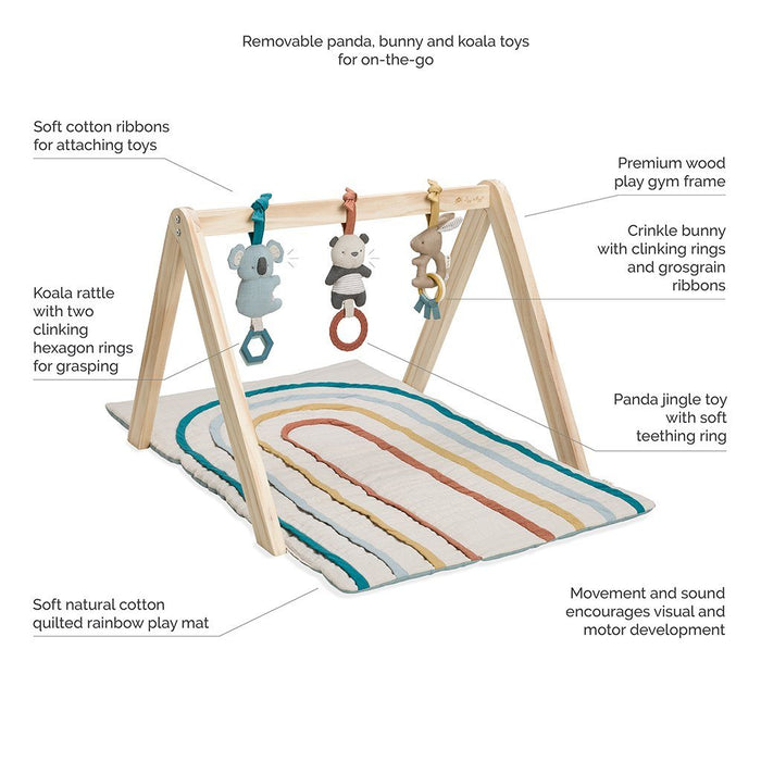 Itzy Ritzy Activity Gym | Rainbow