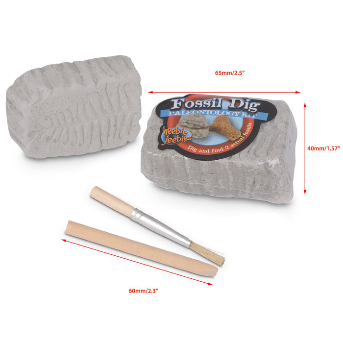 Heebie Jeebies Pocket Money Science | Fossil Dig | Mini Paleo kit