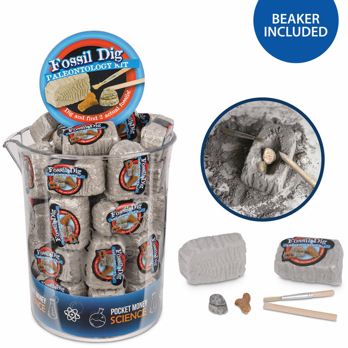 Heebie Jeebies Pocket Money Science | Fossil Dig | Mini Paleo kit