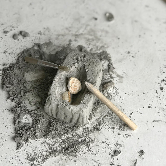 Heebie Jeebies Pocket Money Science | Fossil Dig | Mini Paleo kit
