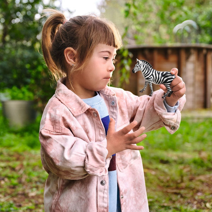 Schleich Zebra