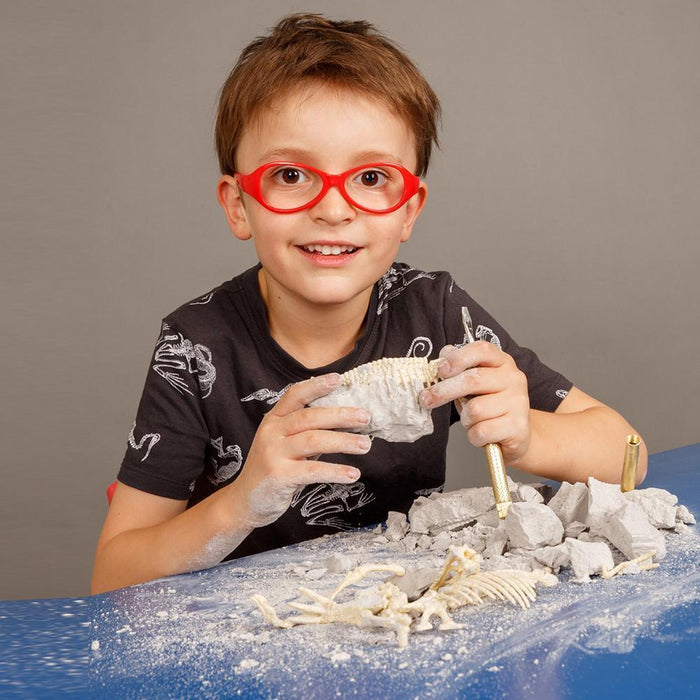 Heebie Jeebies Palaeontology Kit | Tyrannosaurus