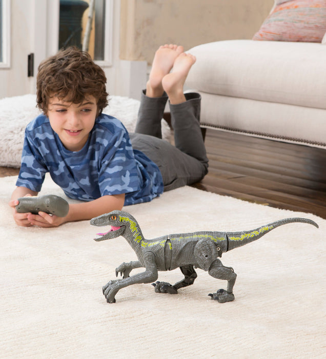 Hearthsong Jurassic Adventures RC Velociraptor